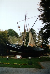 De BOU6-Kamiel in volle glorie